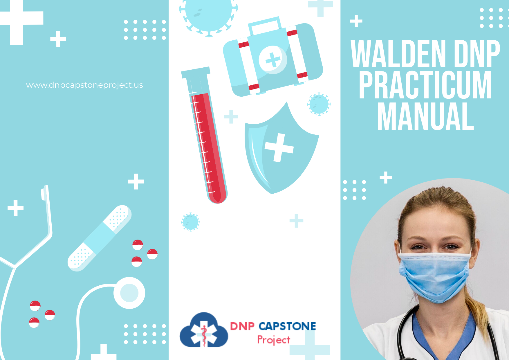 Walden DNP Practicum Manual