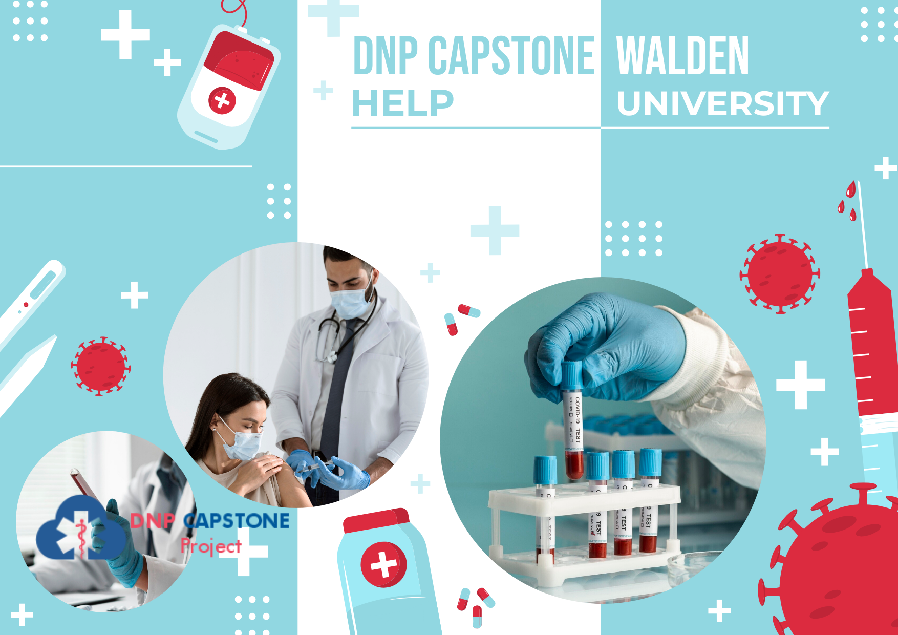 DNP Help Walden University